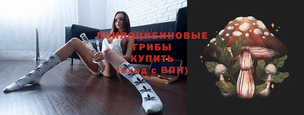 МДПВ Магас