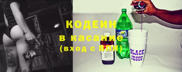 индика Михайловка