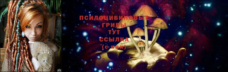 Галлюциногенные грибы мухоморы  Тбилисская 