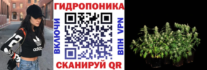 Бошки Шишки ГИДРОПОН  блэк спрут tor  Тбилисская  наркошоп 